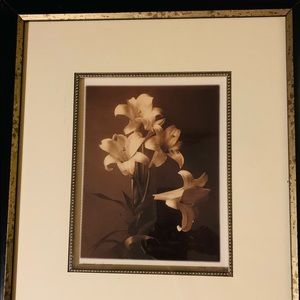 Edward Seymour’s “Lilies”